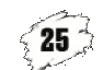 25 lei